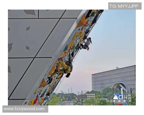 重庆攀岩队与武汉攀岩队赛后复盘力量对决的精彩瞬间与战术分析