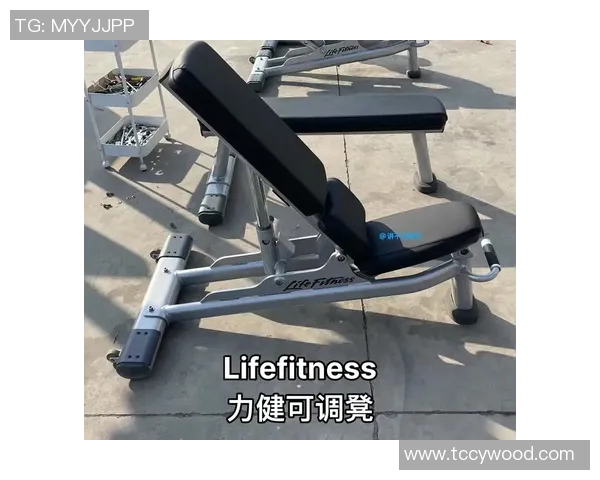 福州健身器材专卖店：最受欢迎健身品牌与价格